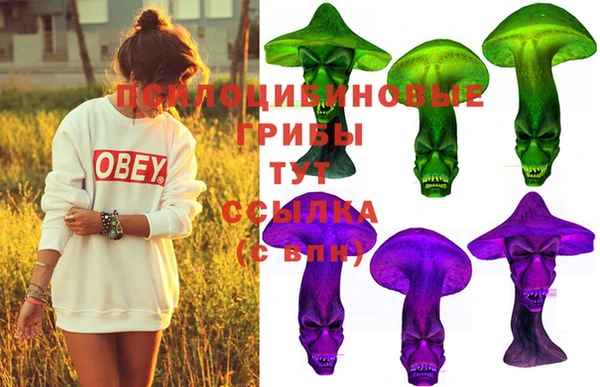mix Слюдянка