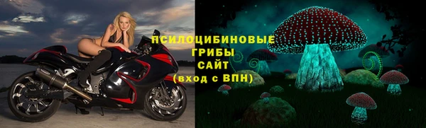 каннабис Белокуриха