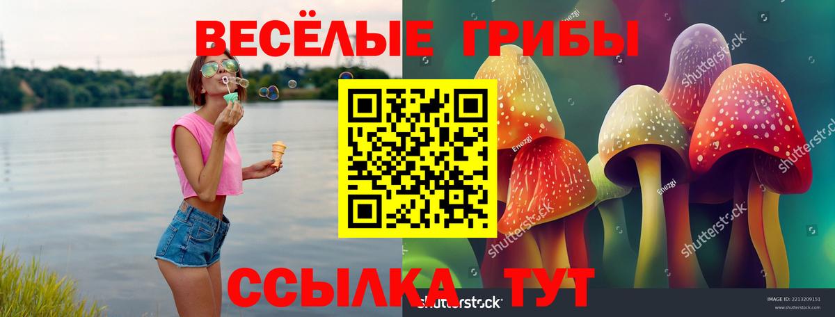 Псилоцибиновые грибы ЛСД  Вход с VPN  Псилоцибиновые грибы мухоморы  Дальнегорск 