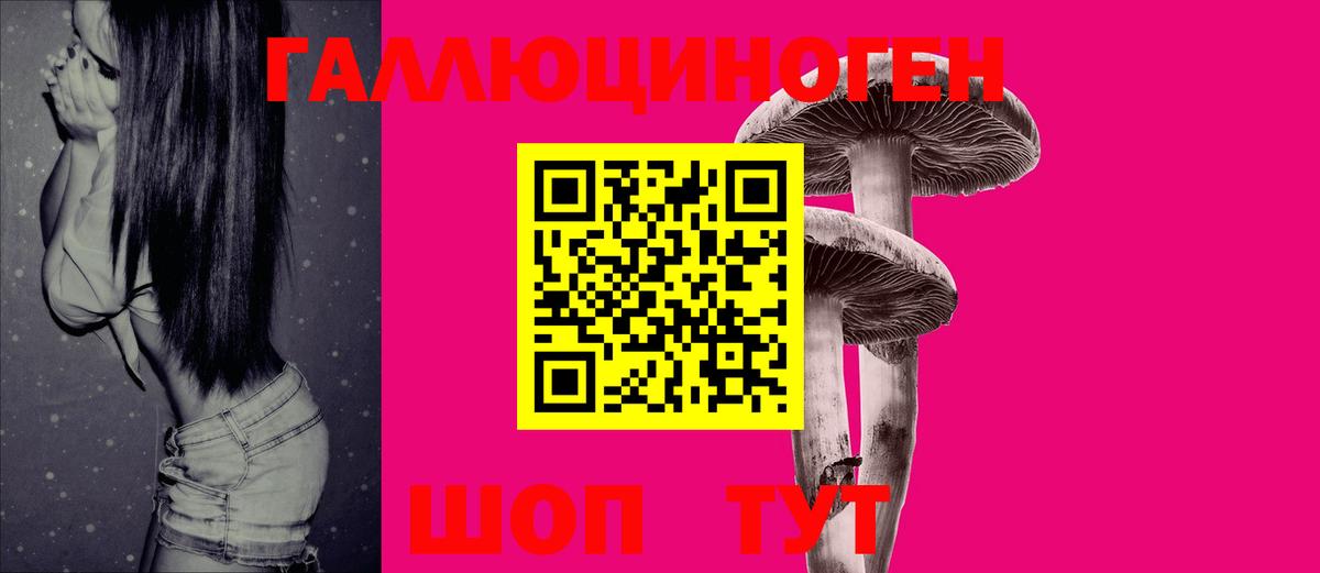 Псилоцибиновые грибы GOLDEN TEACHER Дальнегорск
